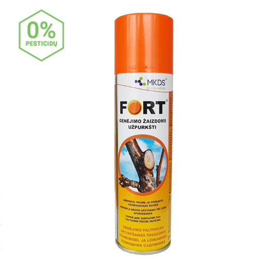 FORT 1