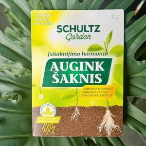 Įsišaknijimui