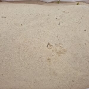 Sijotas smėlis 0-2 mm, 0.8 m3
