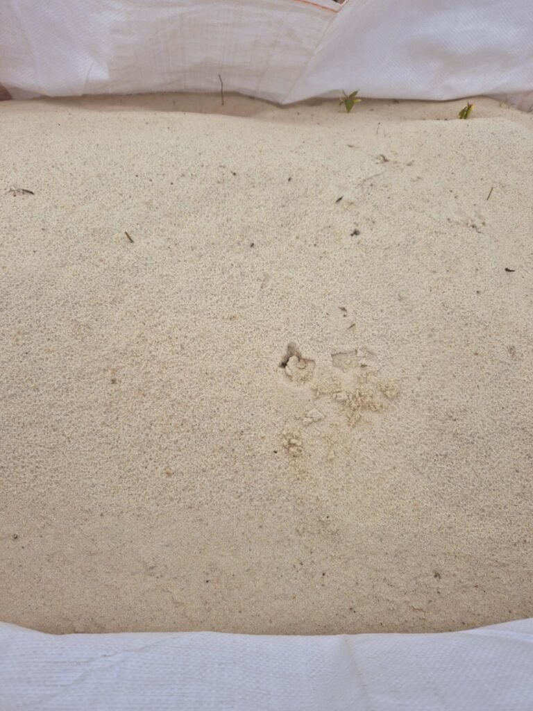 Sijotas smėlis 0-2 mm, 0.8 m3
