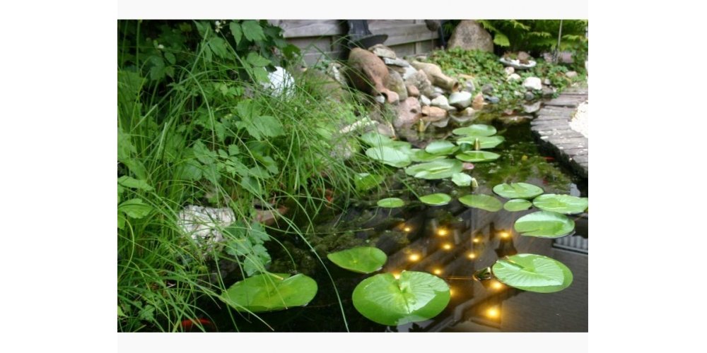 Povandeninis LED tvenkinio apšvietimas - Image 2
